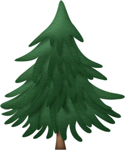 415x500 evergreen clipart conifer