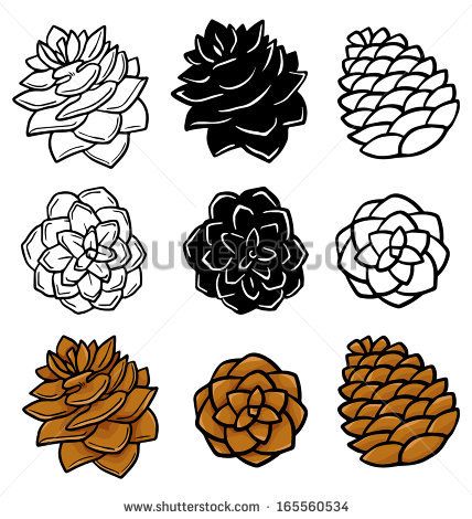 428x470 in the pines pine cone drawing, pine