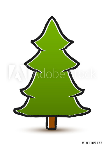 357x500 vector drawing conifer isolated on white background