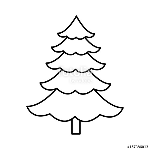 500x500 cartoon pine tree natural plant conifer image vector illustration