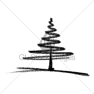 325x325 conifer sketch gl stock images