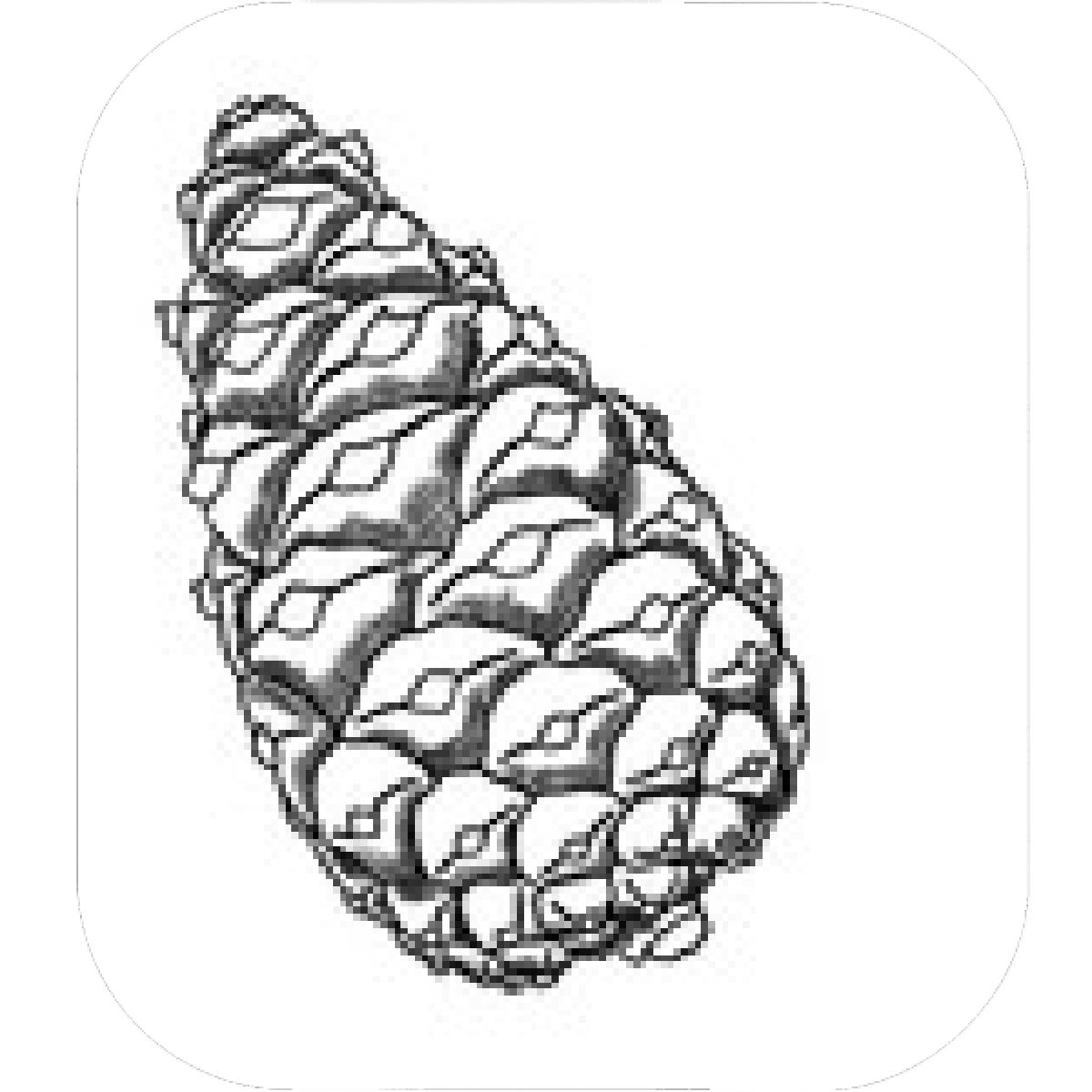 1200x1200 Designs Mein Mousepad Design Mousepad Selbst Designen