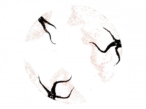 500x374 Infected Zombie Contact Lenses