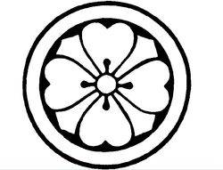 250x191 Order Contact Lenses Online