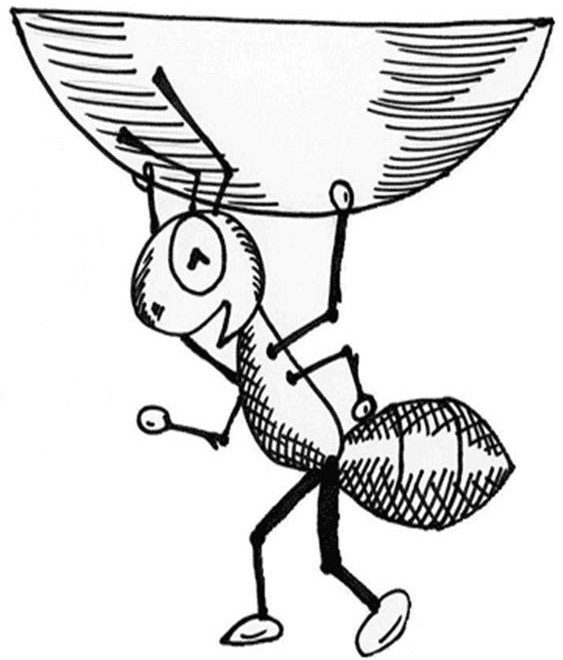 563x660 The Ant And The Contact Lens Pj Associates Wealth Management