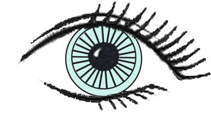 427x236 Soft Contact Lens Fitting