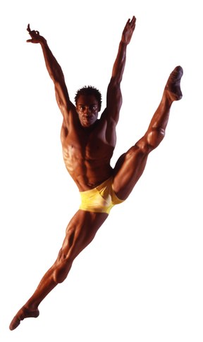 288x486 The Wild Reed The Dancer And The Dance