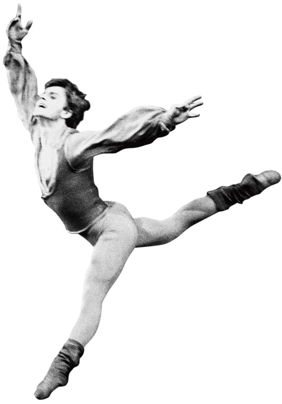 550x786 zadie smith dance lessons for writers books the guardian