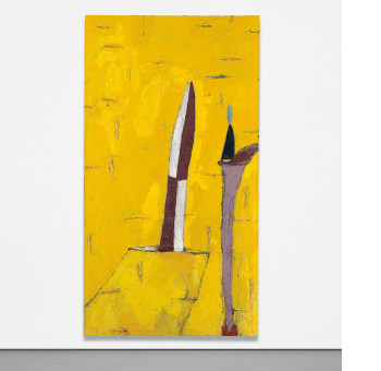 350x340 phillips search results for schnabel