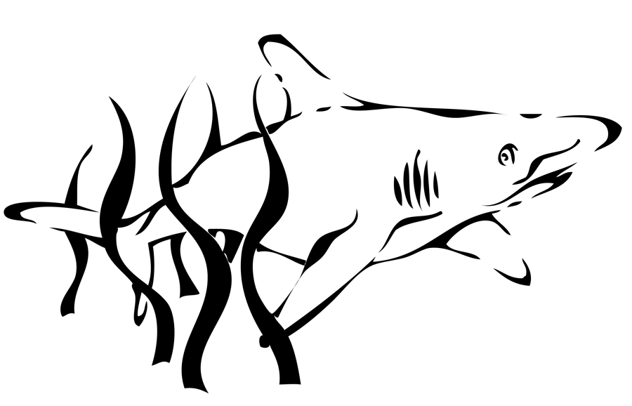 900x578 Studio With No Name