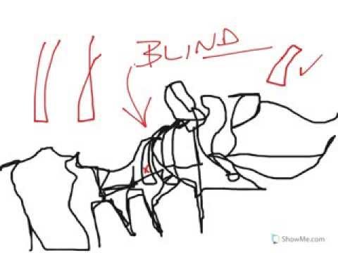 480x360 Inner Outer Contour Drawing Using One Continuous Line