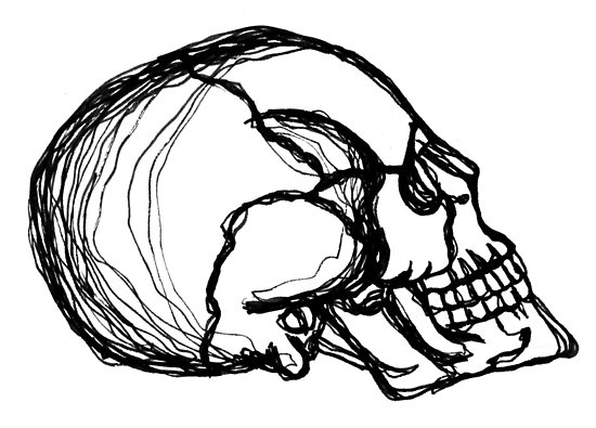 550x395 Continuous Line Skull Pen Drawing Posters