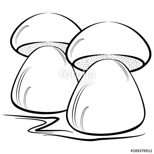 500x500 Beautiful Silhouette Of Mushrooms On A White Background Contour