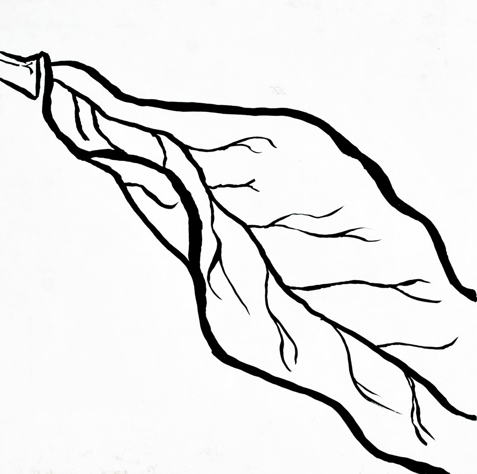 960x954 Contour Leaf