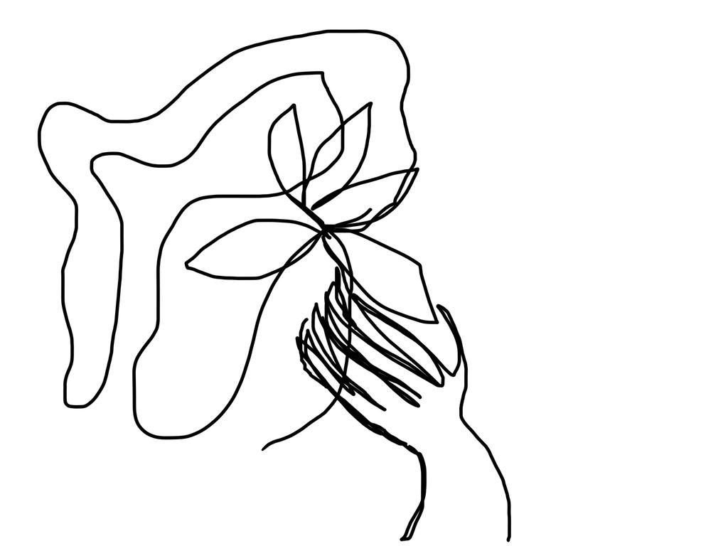 1024x768 Blind Contour Drawing