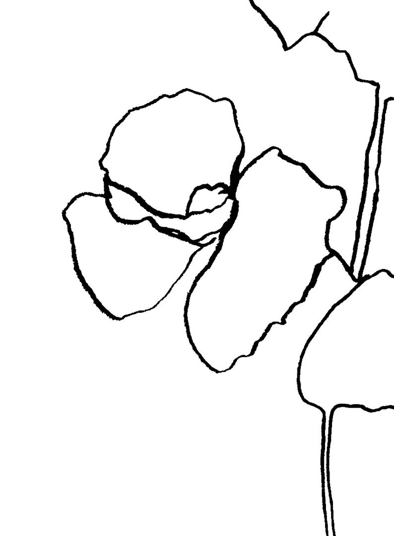 794x1078 Line Contour Print Flower Drawing Minimal Botanical Print Etsy