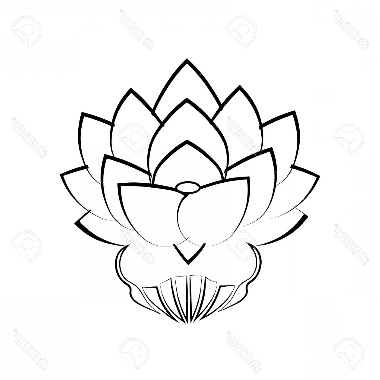 1560x1560 Lotus Flower Line Drawing Vector