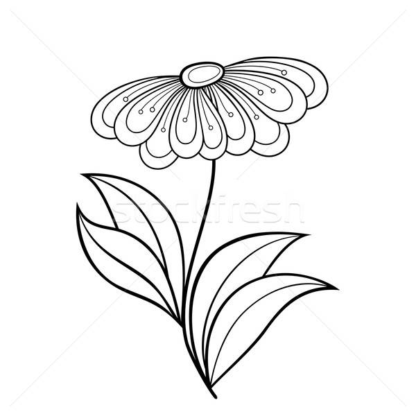 600x600 Vector Beautiful Monochrome Contour Flower Vector Illustration