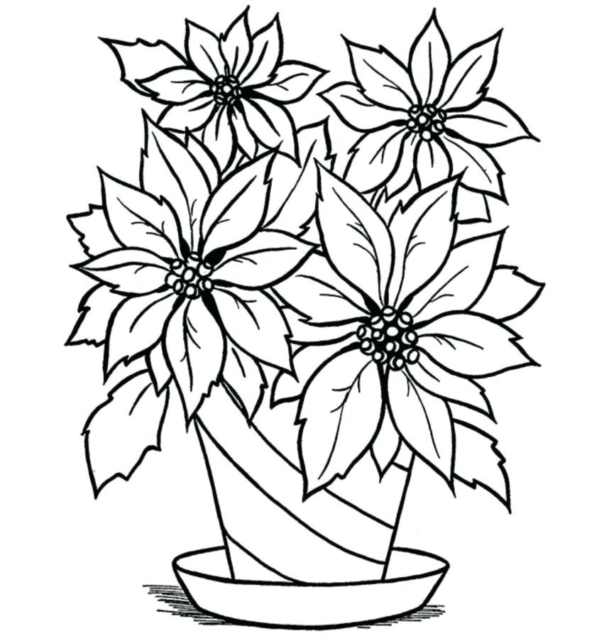 858x896 Flowers In A Vase Drawing