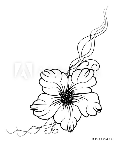 400x500 Beautiful Silhouette Of A Flower On A White Background Contour