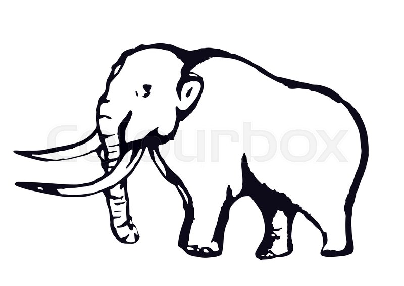 800x566 Mammoth Outline, Contour Hand Drawing, Stock Vector Colourbox