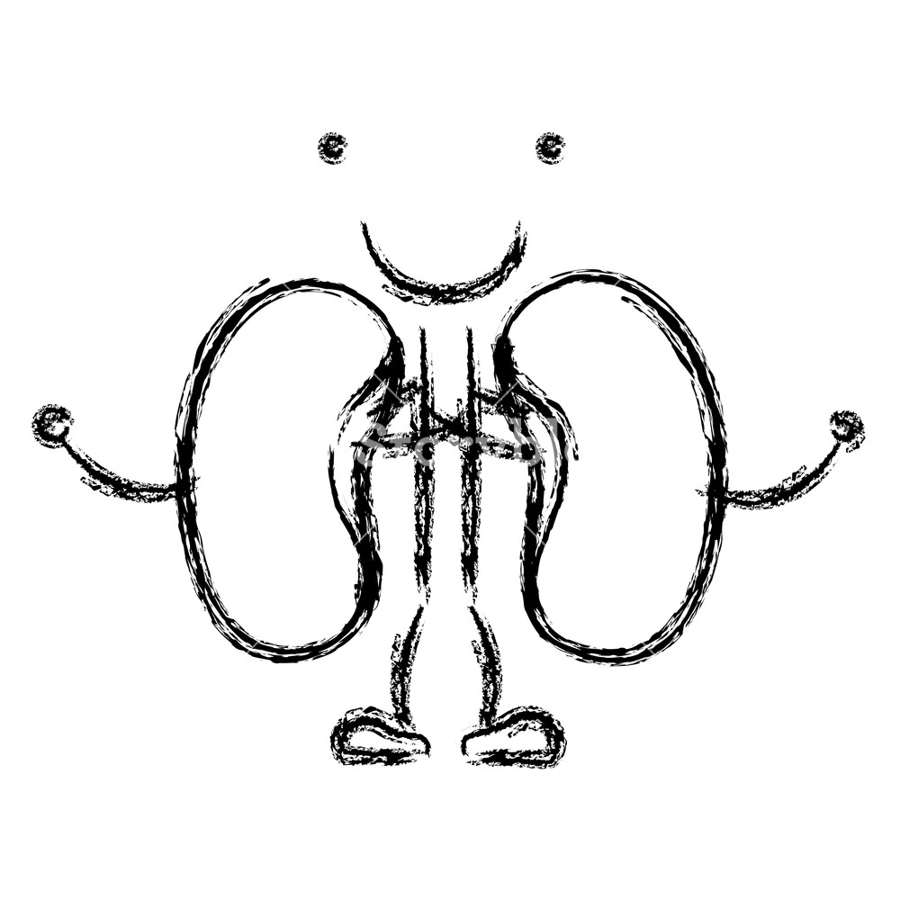 1000x1000 blurred hand drawing contour caricature renal system of human body