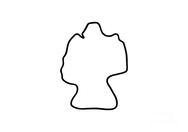 600x424 Contour Lines Drawings