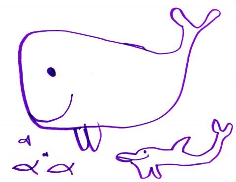 480x371 See Creatures