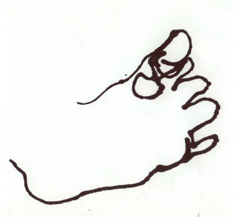 467x435 Jjh's Portfolio