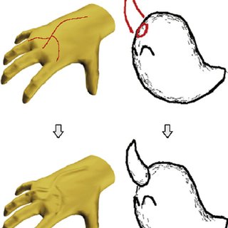 320x320 Shape Cues Beyond Contour Lines Could Be Used To Sketch More