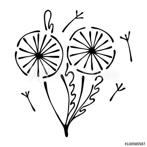 500x500 Vector Floral Illustration Of Dandelions With Leaves, Decorative