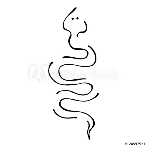 500x500 Vector Black And White Illustration Snake Isolated On The White
