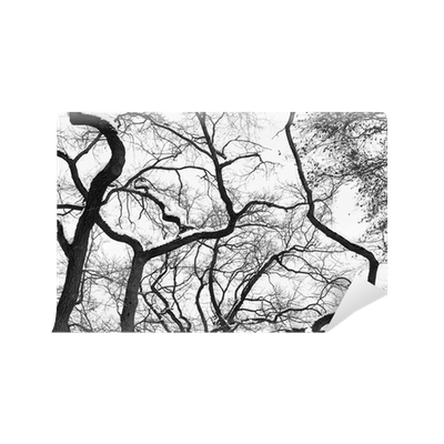 400x400 Collection Of Free Branch Drawing Contrast Download On Ui Ex
