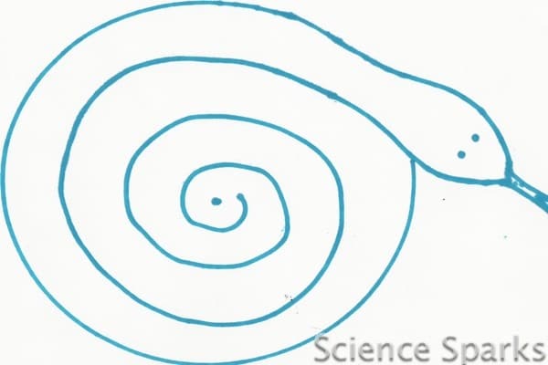 600x400 convection snakes!