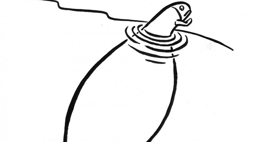 880x495 in conversation with illustrator christoph niemann design indaba