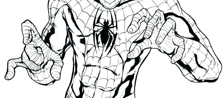 730x320 Free Coloring Pages Spiderman