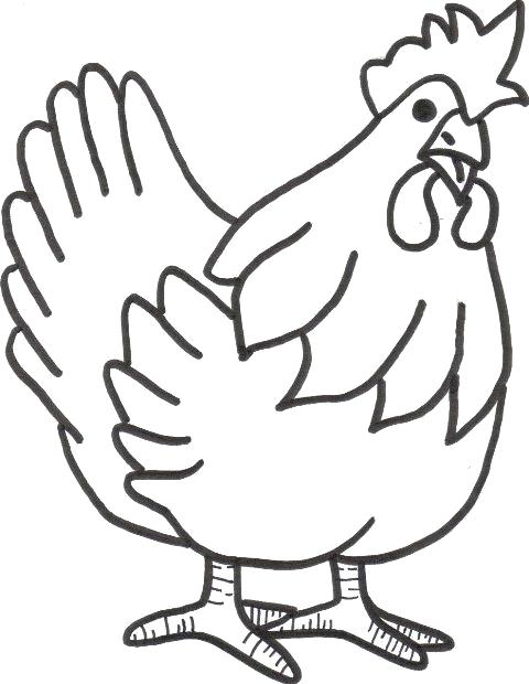 480x620 Chicken Drawing Cooked Chicken Cartoon Drawing