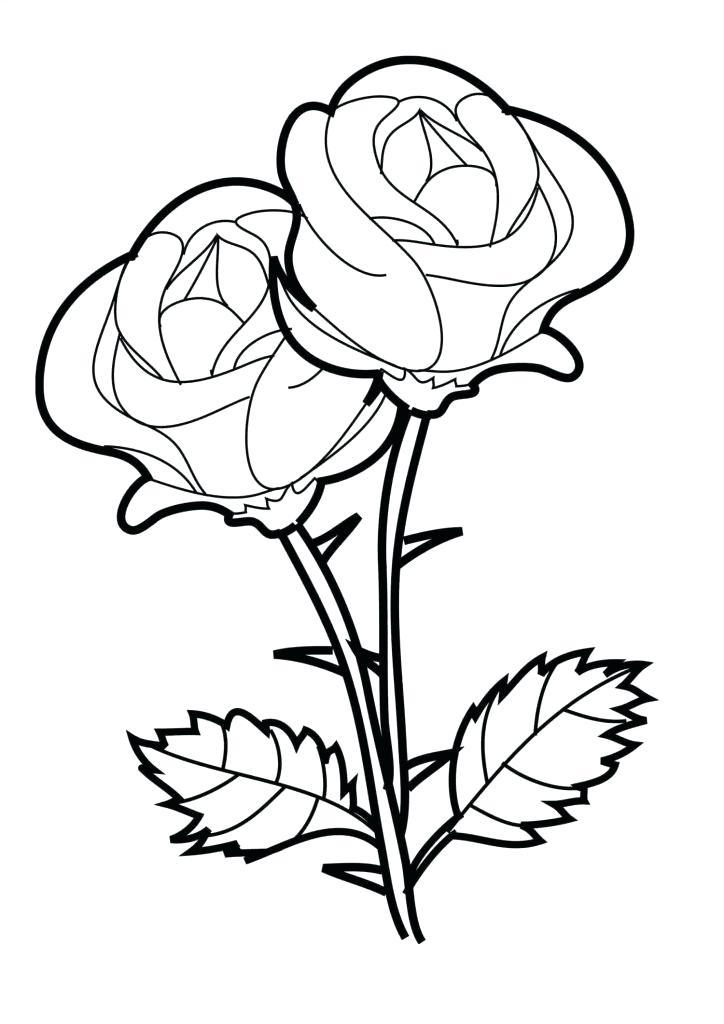 724x1024 Beautiful Flowers Design Drawing