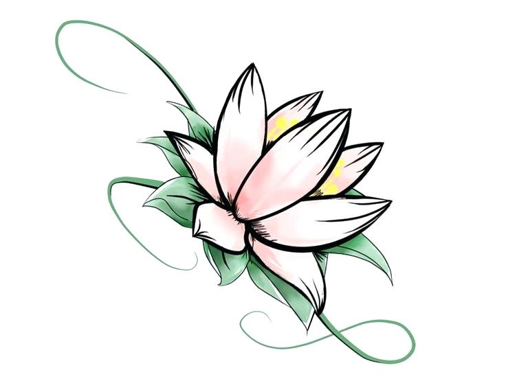 736x552 A Easy Flower To Draw Flower Designs To Draw Medium Size Of Cool