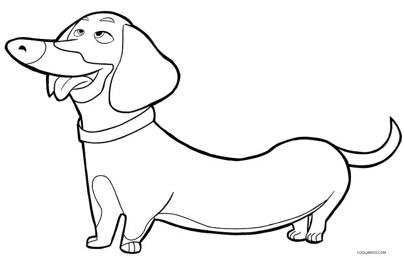 800x512 Puppy Coloring Pages Cool Backgrounds Puppy Cartoon Dog Coloring
