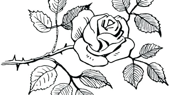 570x320 Cool Flower Designs Flower Of Life Floral Designs To Draw On Paper