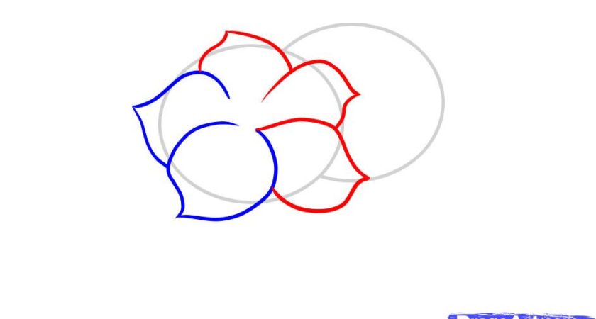 840x450 Easy Flower Designs To Draw Step