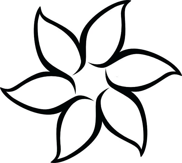 600x536 Cool Easy Flower Drawing Ideas