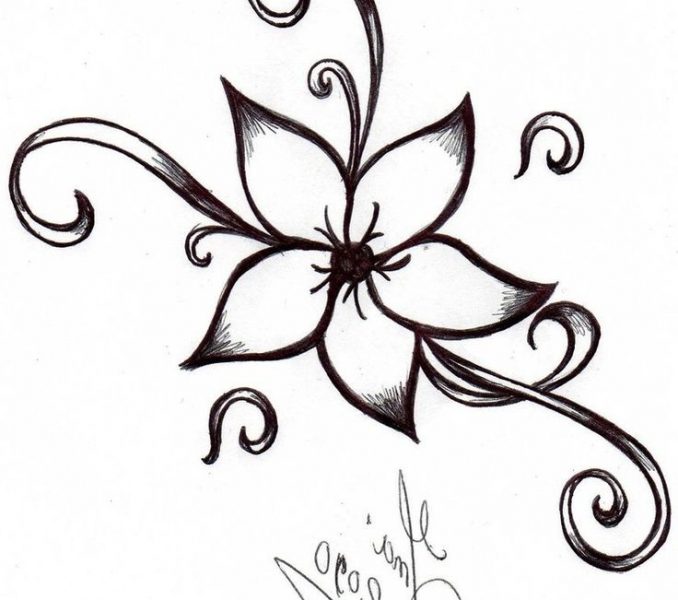 678x600 Simple Drawing Ideas For Beginners Insanely Smart Easy And Cool