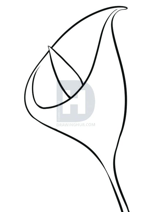 524x720 A Easy Flower To Draw Description It You Have Just Completed This