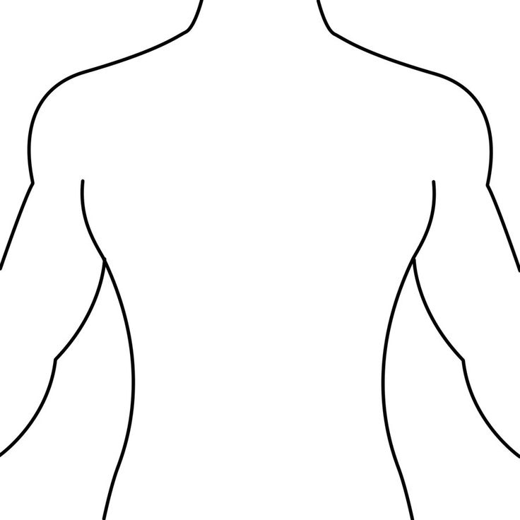 736x736 Human Body Outline Front And Back Drawing