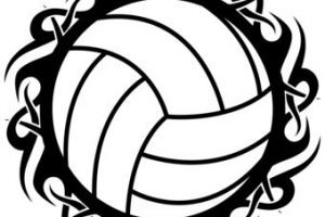 300x200 Cool Volleyball Ball Clipart Clipart Portal