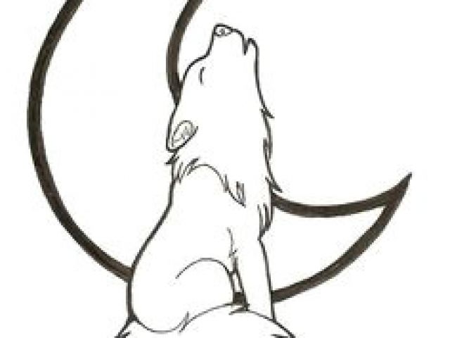 640x480 Drawing A Baby Wolf Best Wolf Howling Images Sketches Drawings