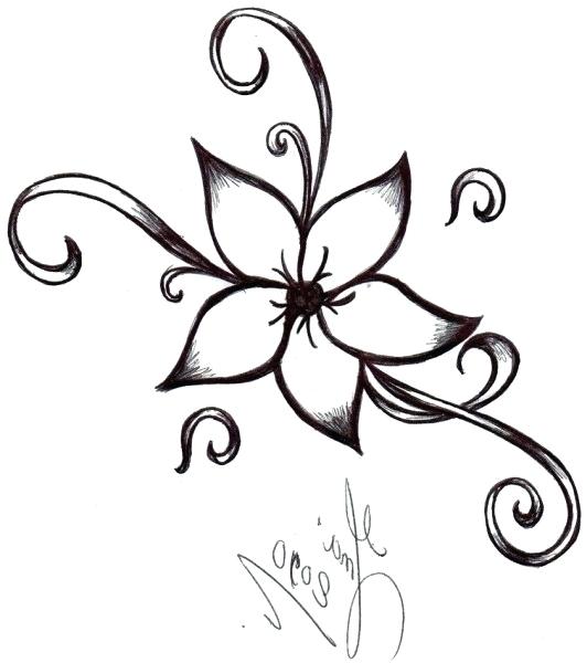 532x600 How To Draw Really Cool Flowers How Drawing Carnation Flowers Step