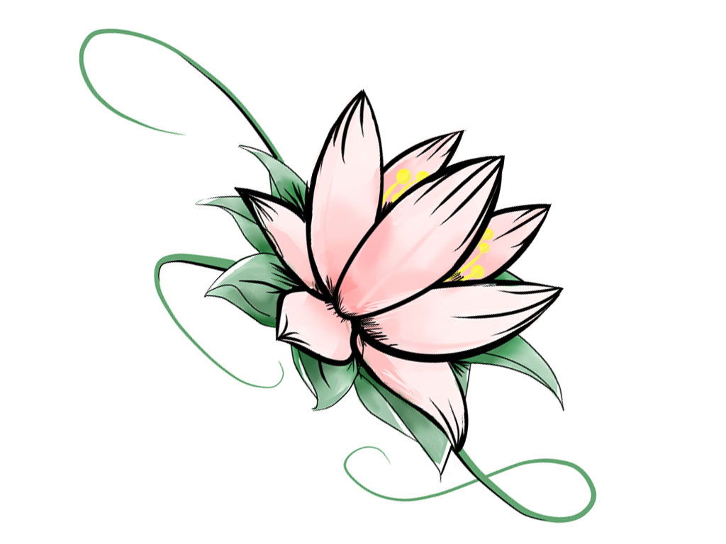 1024x768 cool flower sketches cool flower drawings displaying cool simple